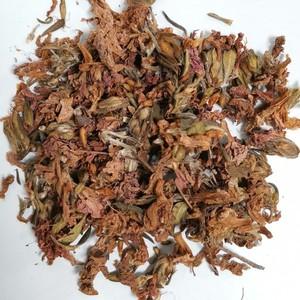 杜鹃花哪里有卖,杜鹃花市场什么价的功效与作用-杜鹃花哪里有卖,杜鹃花市场什么价的图片样子