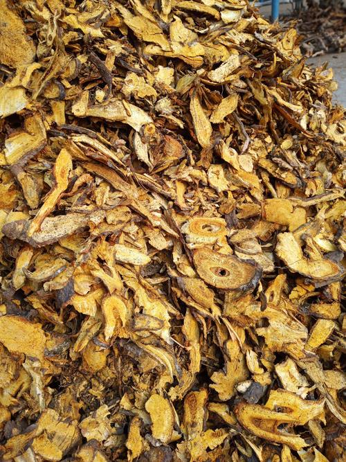 虎杖药材收购厂,虎杖药材收购厂家电话的功效与作用-虎杖药材收购厂,虎杖药材收购厂家电话的图片样子