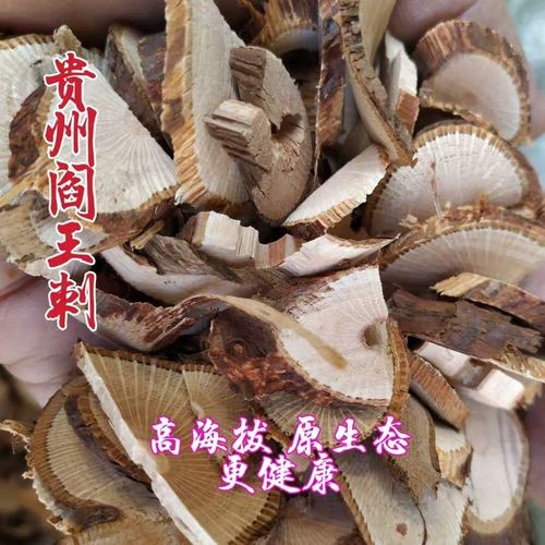 阎王刺根的功效与作用,阎王刺根主治功效泡酒能喝吗的功效与作用-阎王刺根的功效与作用,阎王刺根主治功效泡酒能喝吗的图片样子