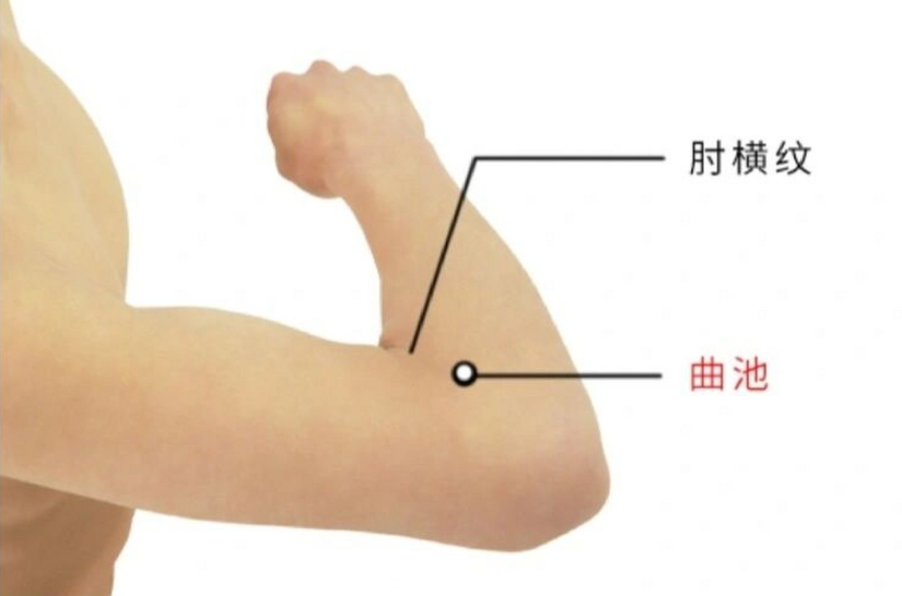曲池穴｜人体自带的「万能药箱」，一穴解千愁！|每日一穴