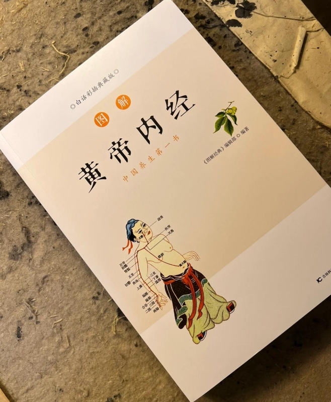 长夏湿盛脾易困：循《内经》之道调阴阳
