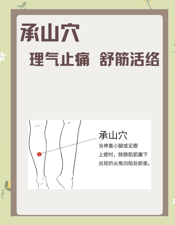 别再忽视承山穴！缓解抽筋、祛湿止痛,久坐党必看！