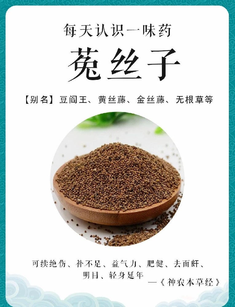 菟丝子.jpg