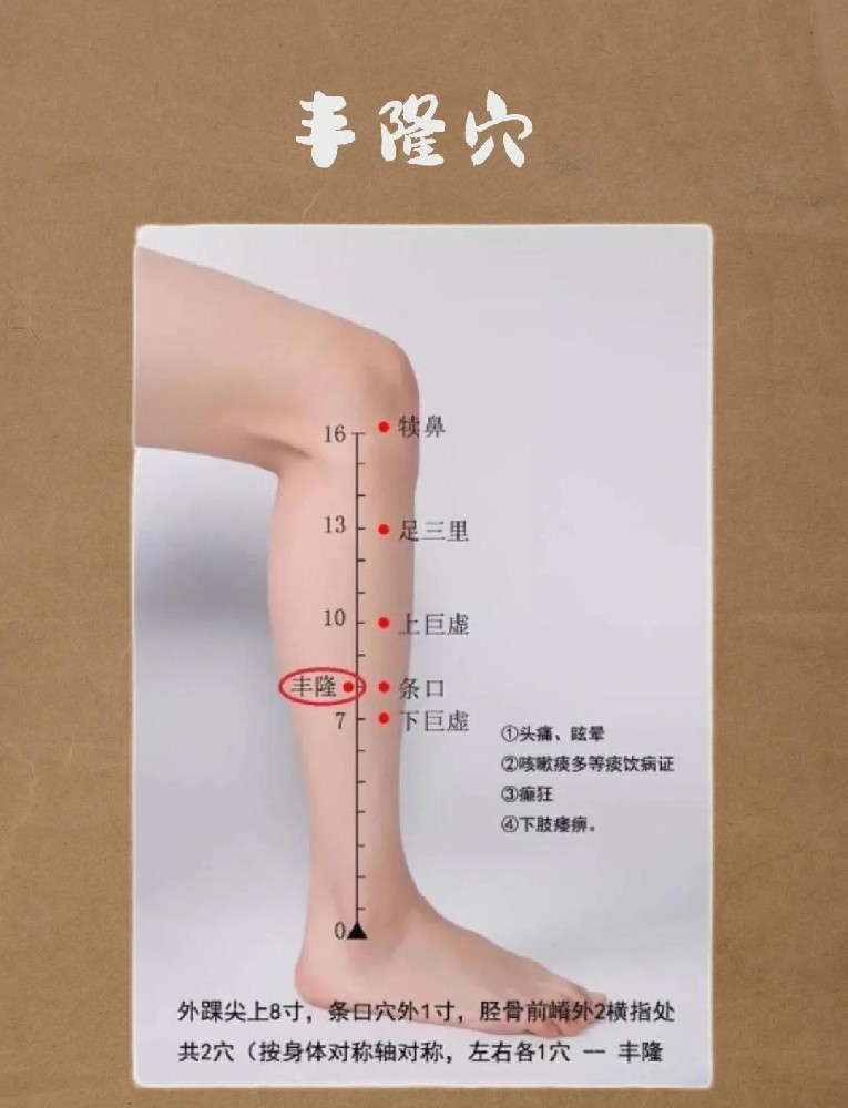 丰隆穴.jpg