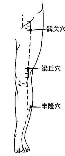 髀关穴