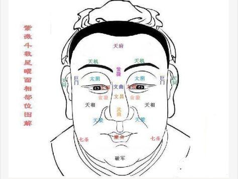 紫薇斗数面相