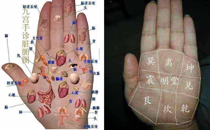 中医对易经九宫的运用