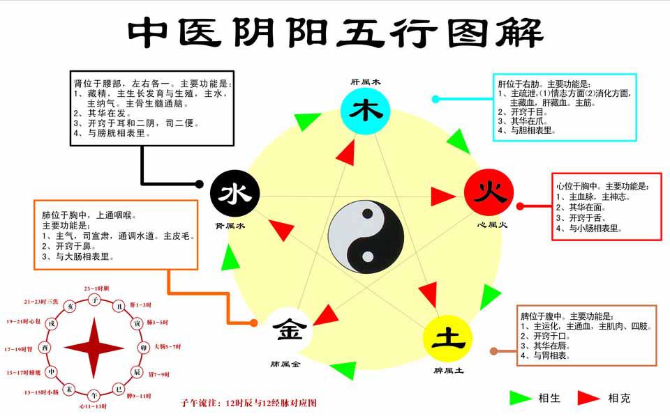 易经五行在中医中的运用