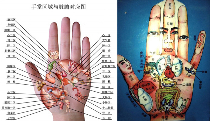 手掌全息定位
