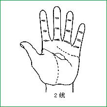 智慧线岛纹