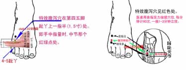 www.zgmjyxw.com