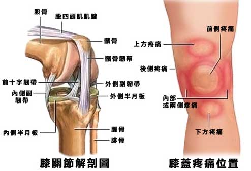 针刺治膝关节疼痛的方法