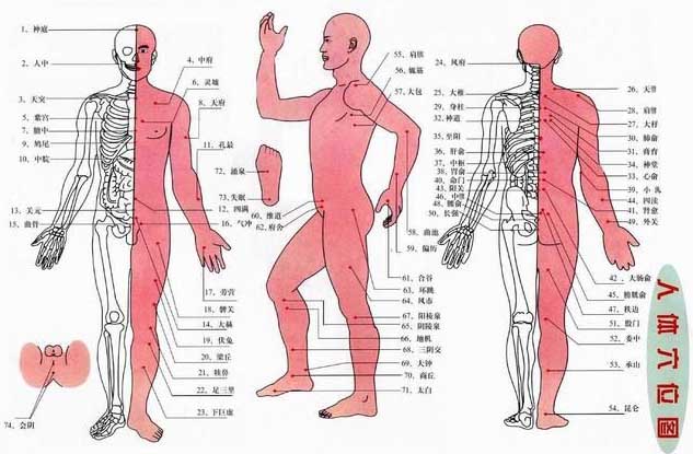 人体的18个上下对应穴位及功能