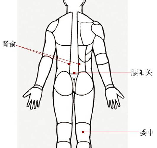 腰部怕冷，要疏通“腰阳关”
