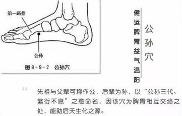 低血压可按揉公孙穴+内关穴