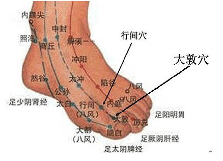 肝胆经调理女人妇科疾病