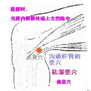肝胆经调理女人妇科疾病