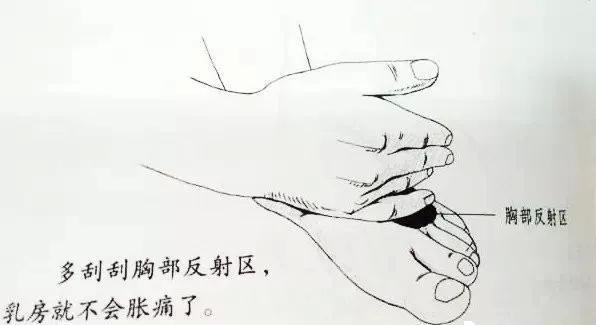 刮脚上的反射区治女性哺乳期间后的乳腺增生