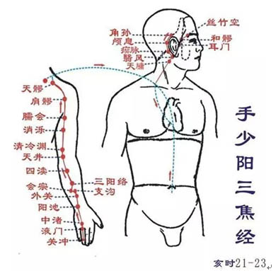 提高免疫力的穴位