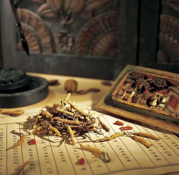 临证治百病经验处方