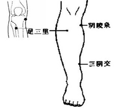月经期间点按涌泉和足三里穴可以有效排毒