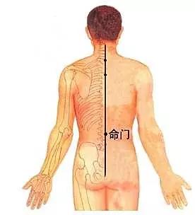人体《精、气、神》的开关——特效穴，开九窍