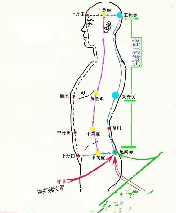 人体《精、气、神》的开关——特效穴，开九窍