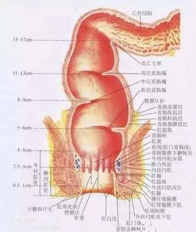 根骶疗法对脑髓、骨、脉、胆、子宫的治疗