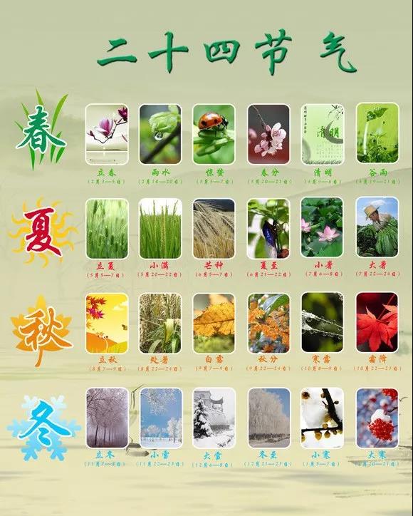 养生知识：二十四节气穴位灸