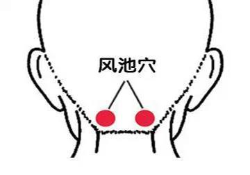 常见几种疾病的应急点穴法