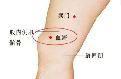 五藏中脾的经络和穴位：公孙穴、血海穴、大横穴