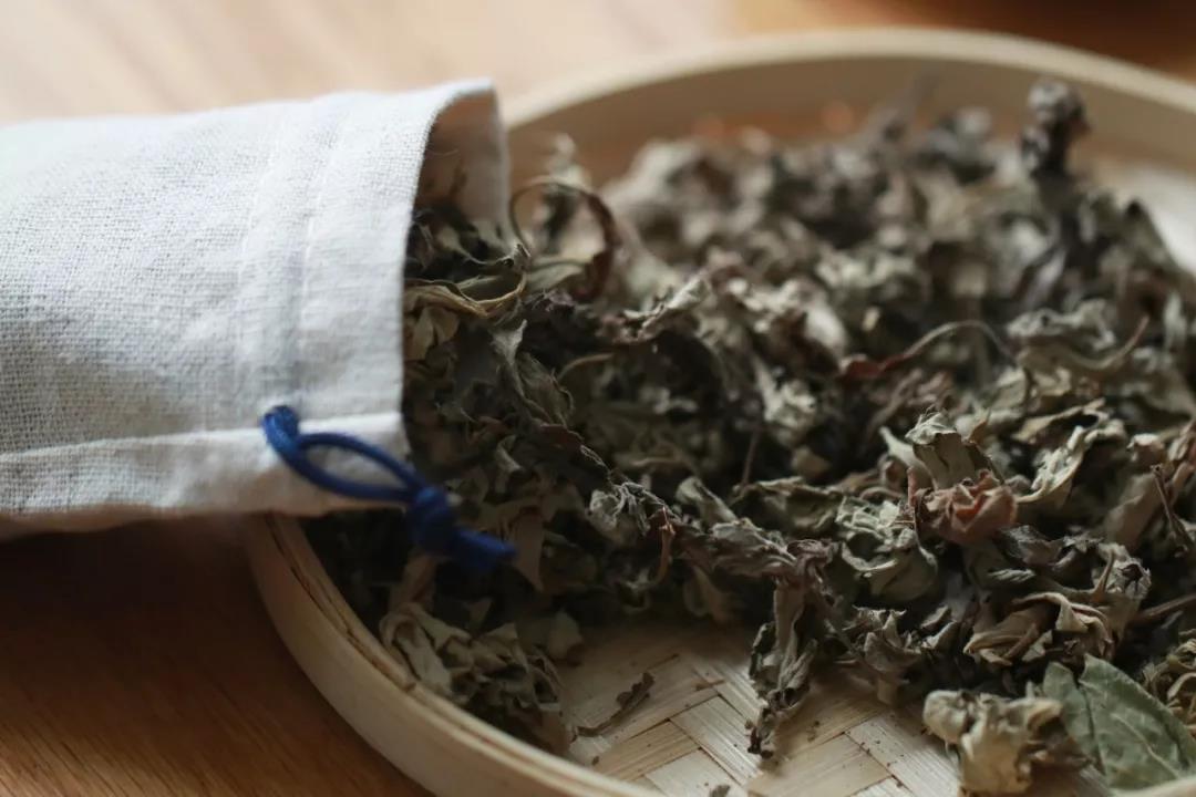 三伏天，排除身体寒气的黄金调理期！