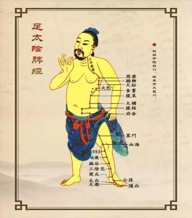 脾经