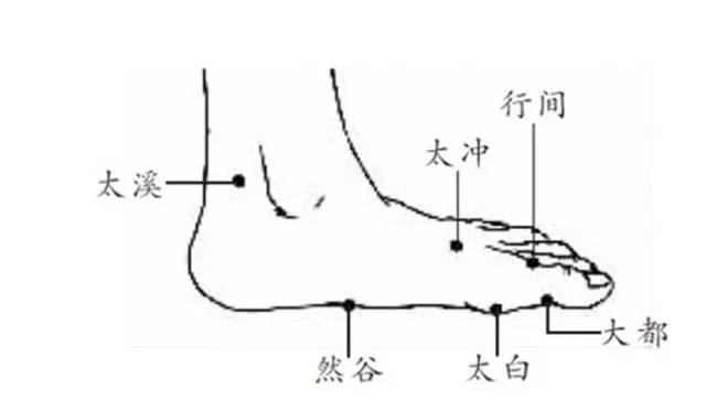 健脾除湿穴位