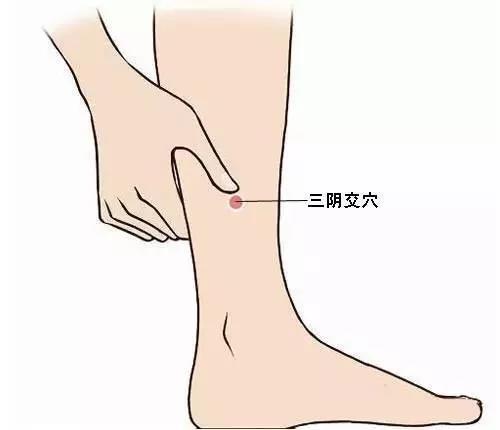 健脾除湿穴位