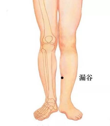 健脾除湿穴位