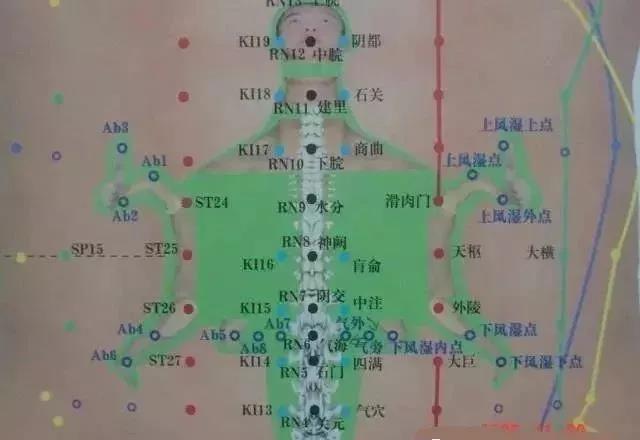 腹针神龟图