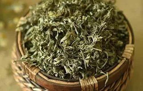 艾草
