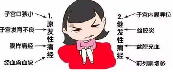 痛经的原因