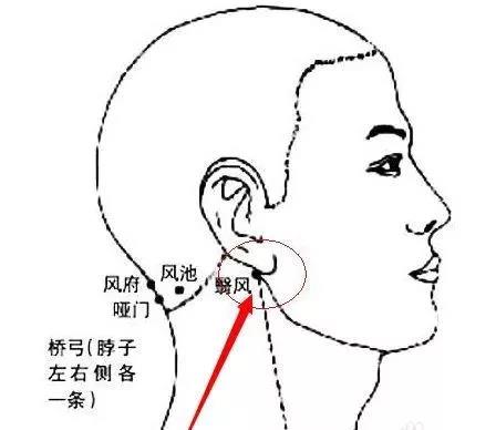 翳风穴