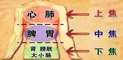 三焦经