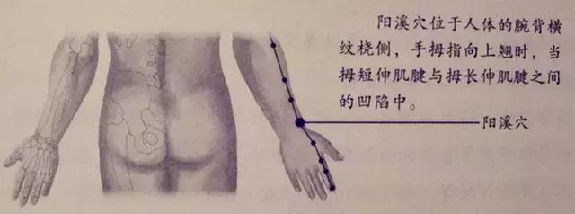 阳溪穴