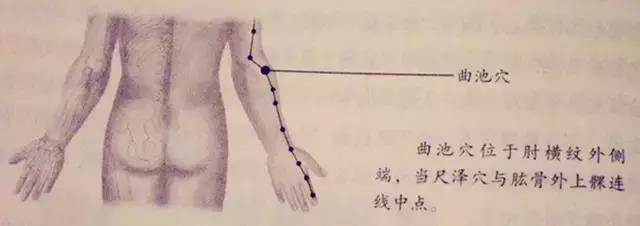 曲池穴