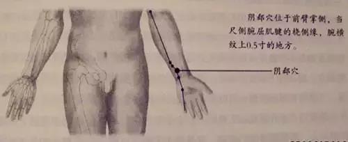阴郗穴