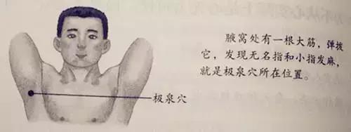 极泉穴