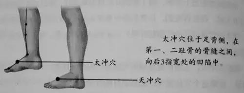 太冲穴