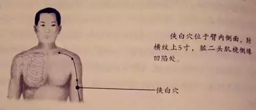 侠白穴