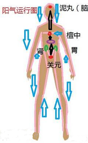 阳气运行图
