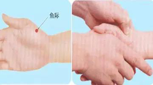 鱼际穴