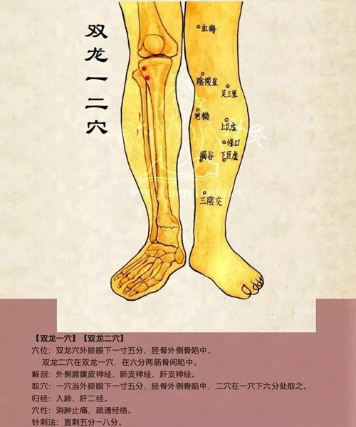 双龙穴